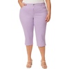 Sweet Violet-ds